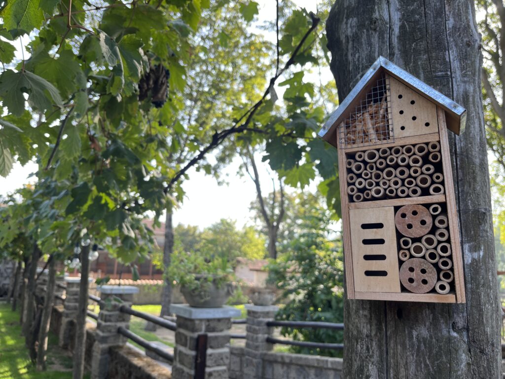 Una casetta per le api (bee hotel)